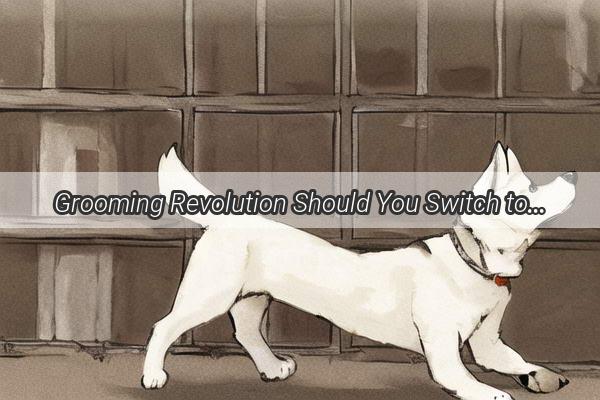 Grooming Revolution Should You Switch to a Mini Electric Grooming Tool for Your Pooch